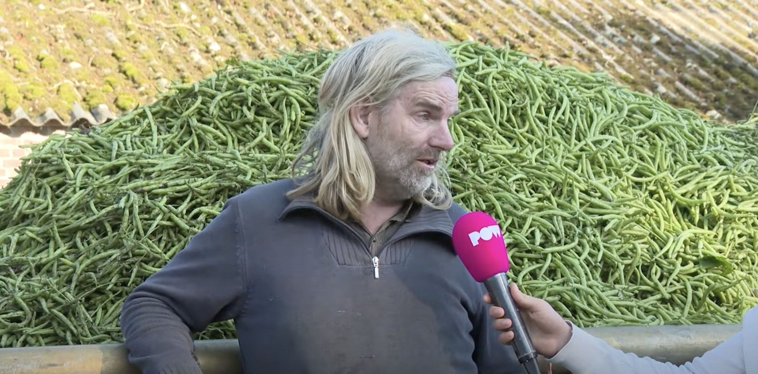 Boer Kees uit Vessem is genaaid met 100.000 kilogram bonen