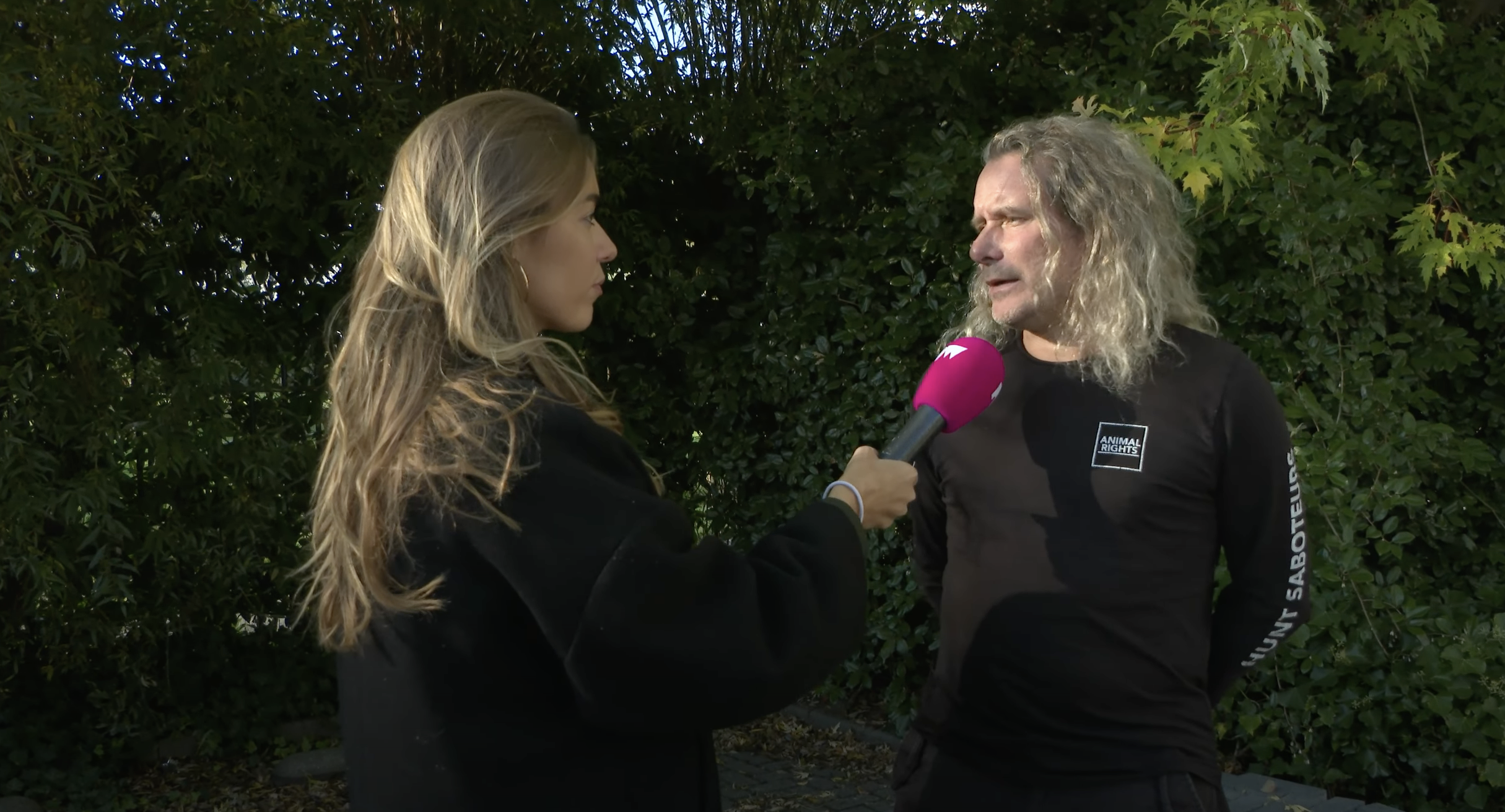 Wolventerror in Zwiggelte: angst heerst in het Drentse dorp